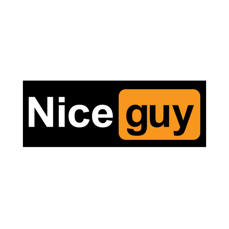 Nice Guy Hoodie - ADLT