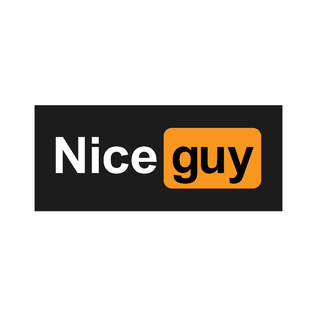 Nice Guy - Oversized - ADLT