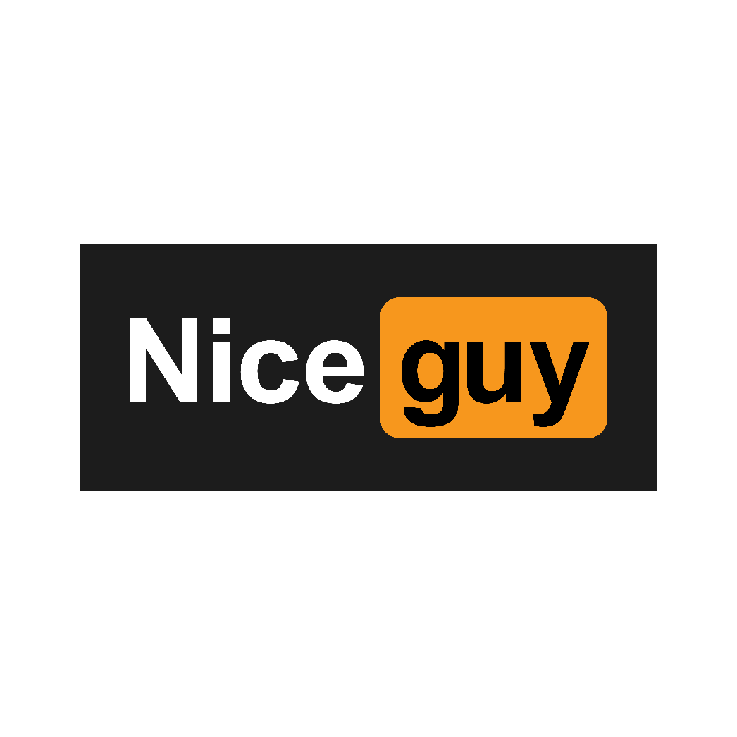 Nice Guy - Oversized - ADLT